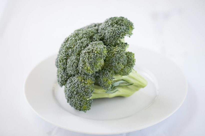 Close-up of a fresh broccoli floret on a white plate, showcasing its vibrant color.